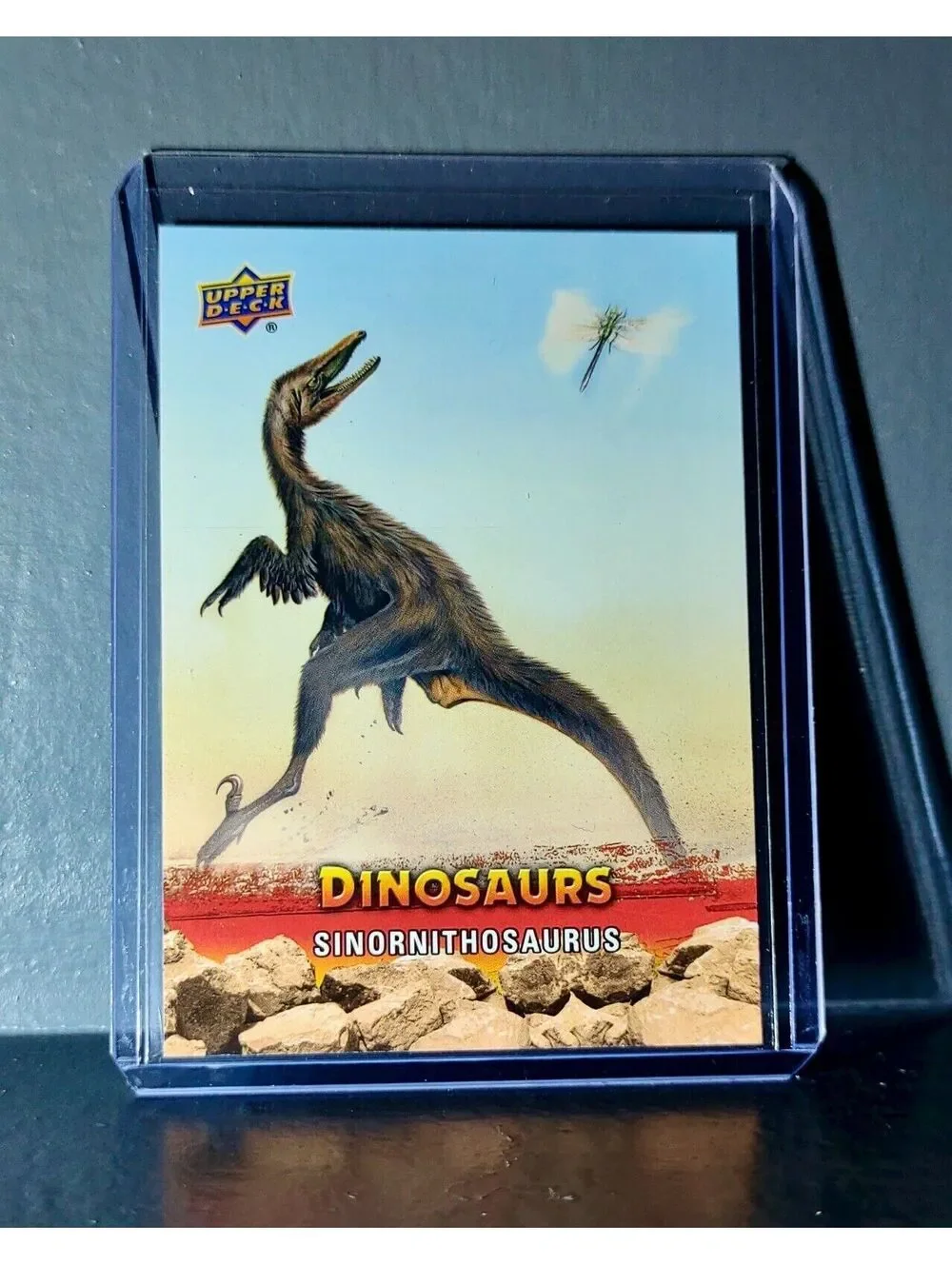 2015 Upper Deck Dinosaurs Sinornithosaurus Extinction Red Parallel #79 Card